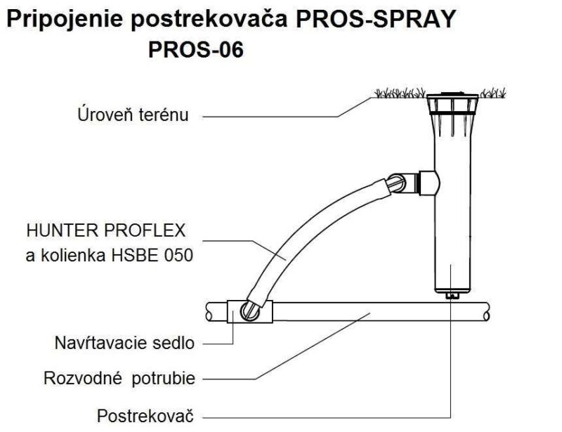 pros_06_bok